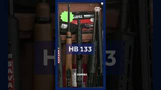 Florida legislators discuss House Bill 133