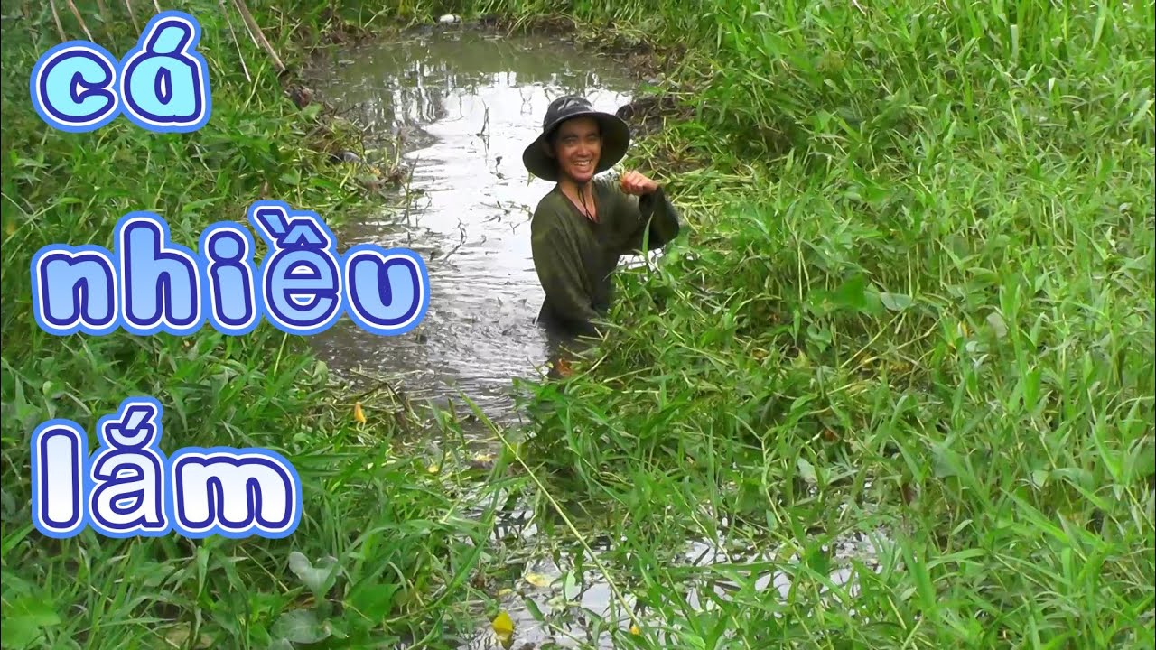 Học Theo Nguyễn Chanh Dọn Luồng Câu || Hôm Sau Lên Câu Thì Bất Ổn || VR Fishing #132