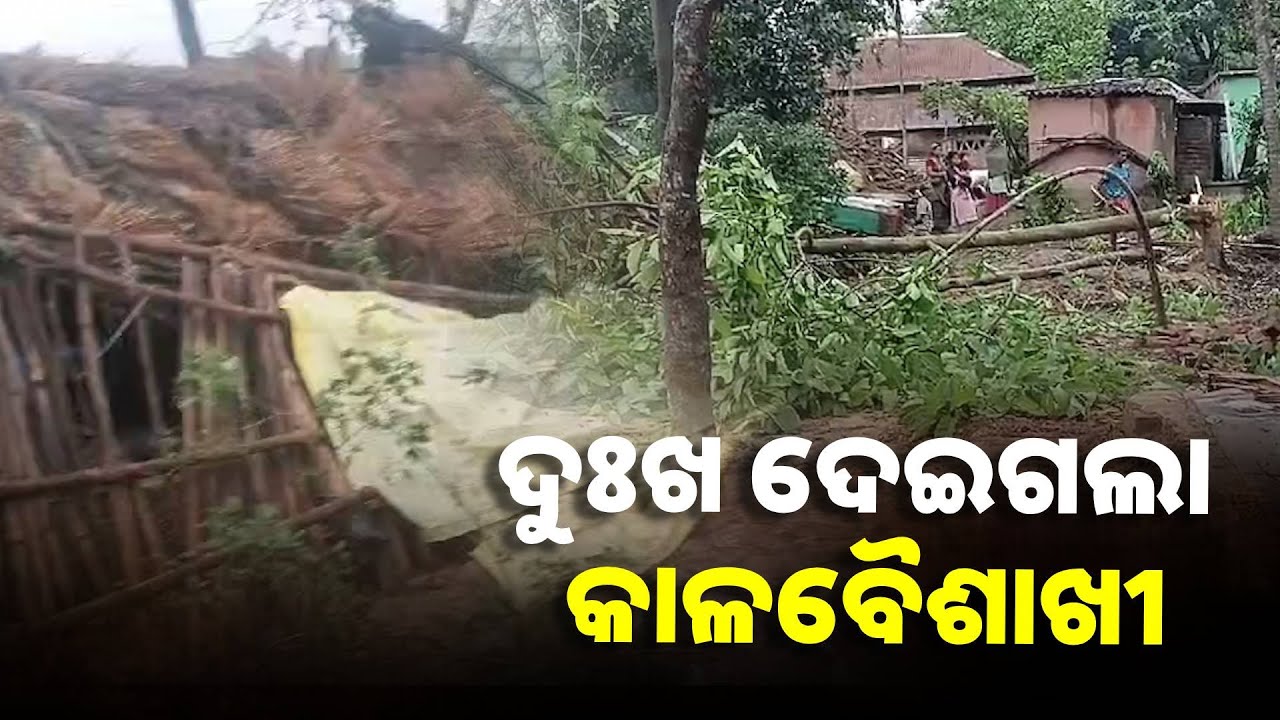 ଉଡ଼ିଲା ଛପର ଭାଙ୍ଗିଲା ଘର ବିଦ୍ୟୁତ ସେବା ବ୍ୟାହତ, ଚାଷ ବି ନଷ୍ଟ ||Knews Odisha