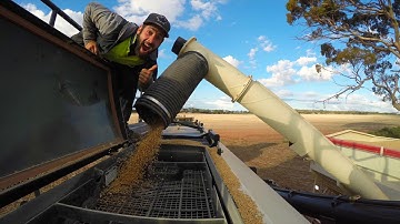 Wheat, Barley & Canola Air Seeding Video in Kulin, WA