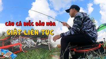 Trải Nghiệm Câu Cá Diếc Đầu Mùa Tại Tiên Lãng - Hải Phòng | Giật Liên Tục