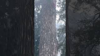 Maneli  atel tarnel #tourist #menali