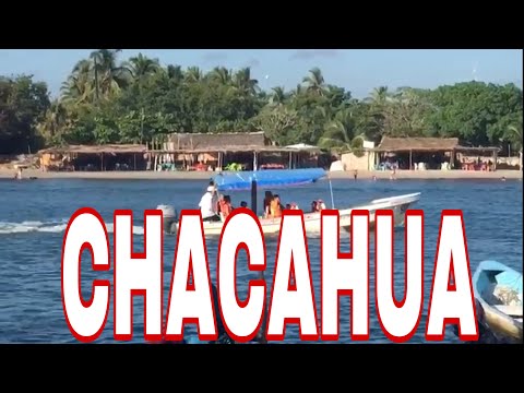 Video: Armastuslood Teelt: Chacahua - Matador Network