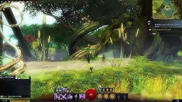 GW2 - Point of Interest - Solitaire Island - Caledon Forest