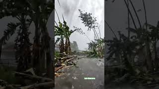 Heavy rain, strong winds, damaged materials #rainday #ekstrim #Dramatic #Settlement #rural #viral