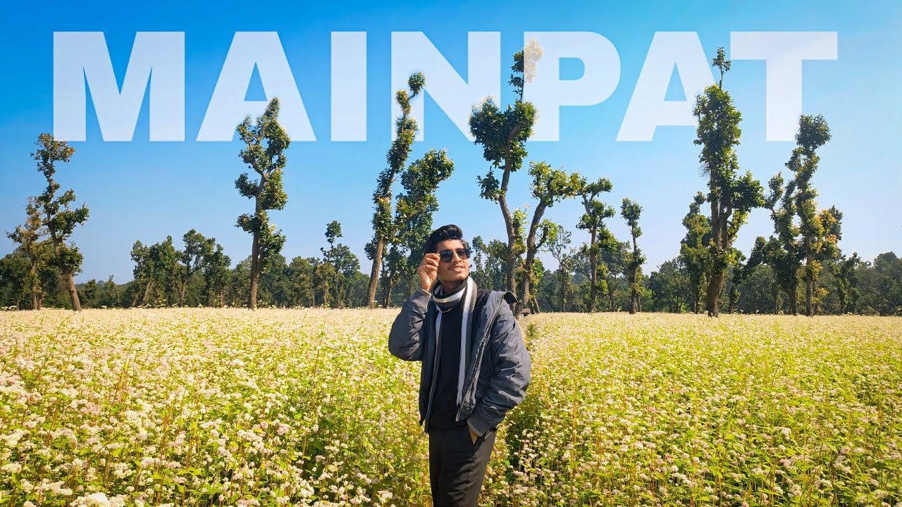 𝐓𝐚𝐮 की खेती ||क्या नज़ारा है मैनपाट का  |