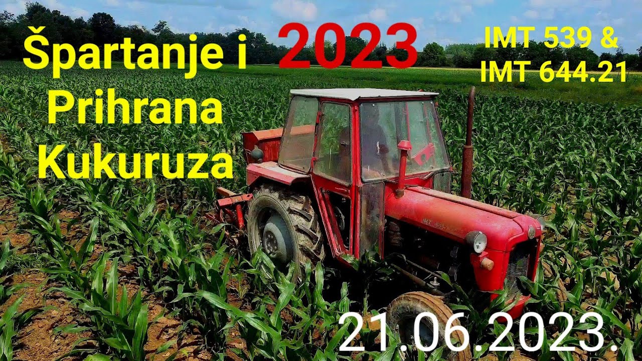 Spartanje i Prihrana Kukuruza 21.06.2023. | IMT 539 i IMT 644.21 Spartanje Kukuruza