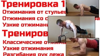 видео Программа отжиманий от пола: схема для начинающих