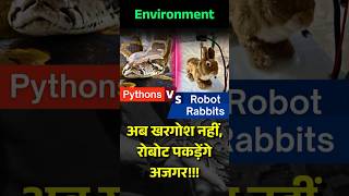 Why Florida Is Using Robot Rabbits to Catch Giant Pythons 🐍🐇 | UPSC Environment