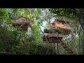 Girl build the Most Beautiful Bamboo Tree House Near My Village, Living Off The Grid