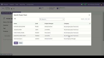 Project Team Management Odoo