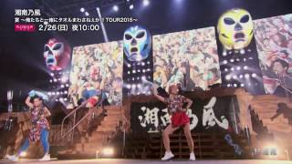 “湘南乃風” 宴 〜俺たちと一緒にタオルまわさねぇか!! TOUR2016〜／ライブダイジェスト【WOWOW】