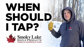 When Should I Tap My Maple Trees?