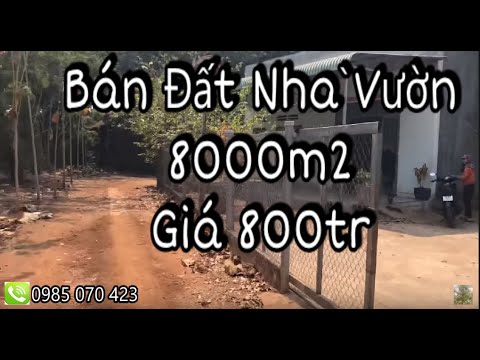 Bán Nhà Đất Vườn 8000m2 giá 800tr LH 0985070423
