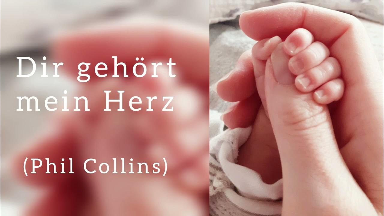 Dir Gehört Mein Herz Taufe Text Und Noten www.youtube.com