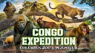 Zoo Tours: CONGO EXPEDITION | Columbus Zoo & Aquarium