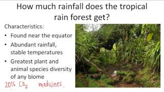 Tropical Rainforest Biome