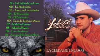 El Lobito de Sinaloa  'La celda De Un Loco'