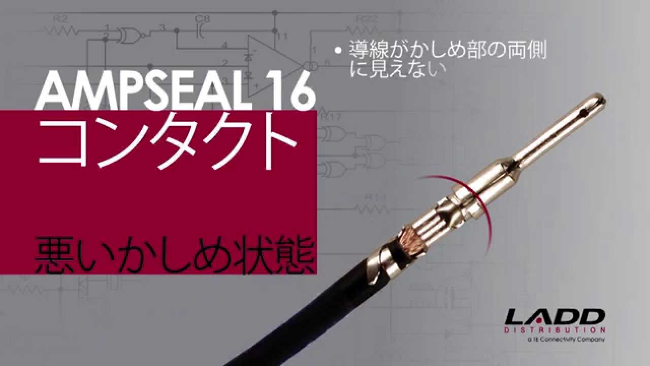 Ampseal 16コンタクト圧着 Ampseal 16 Contact Crimping Instructions Japanese Youtube