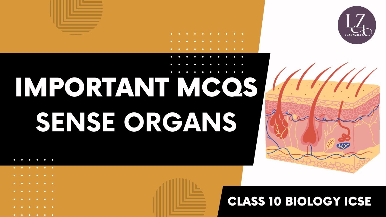 Important MCQs | Sense Organs | Class 10 Biology ICSE Tamil - YouTube