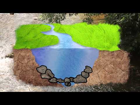Video: ¿Cómo se limpia un río?