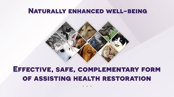 Energy Plus Introduction Video