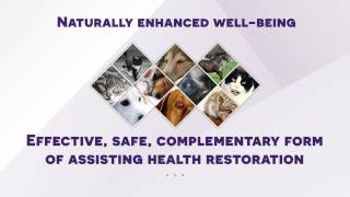 Energy Plus Introduction Video