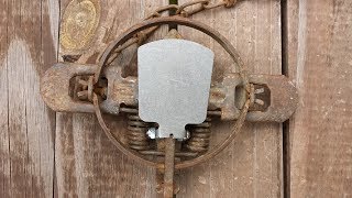 Expanded Pans for 1 5 Coil Spring Traps