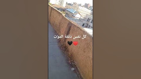 قران كريم بصوت جميل #duet #food #اكسبلور #الرحمن #foryou #دويتو #القرميد #freefire #المراه #لايك