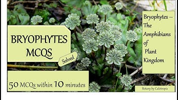 Bryophytes MCQs | Bryophytes - The Amphibians of plant kingdom #botany #botanymcqs #youtube