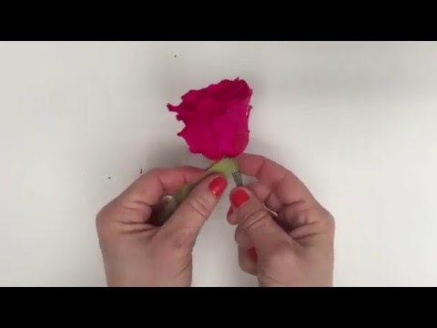 DIY / Une méthode pour tiger une fleur stabilisée