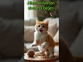 SABAH EV KADININA ŞAKA YAPAN İPLERLE OYNAYAN KEDİŞ