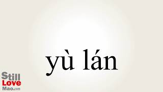 How to Say Magnolia in Chinese