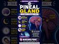 Endocrine gland series Pineal Gland: The Body's Internal Clock 🌙Important  for Nursing Exams |