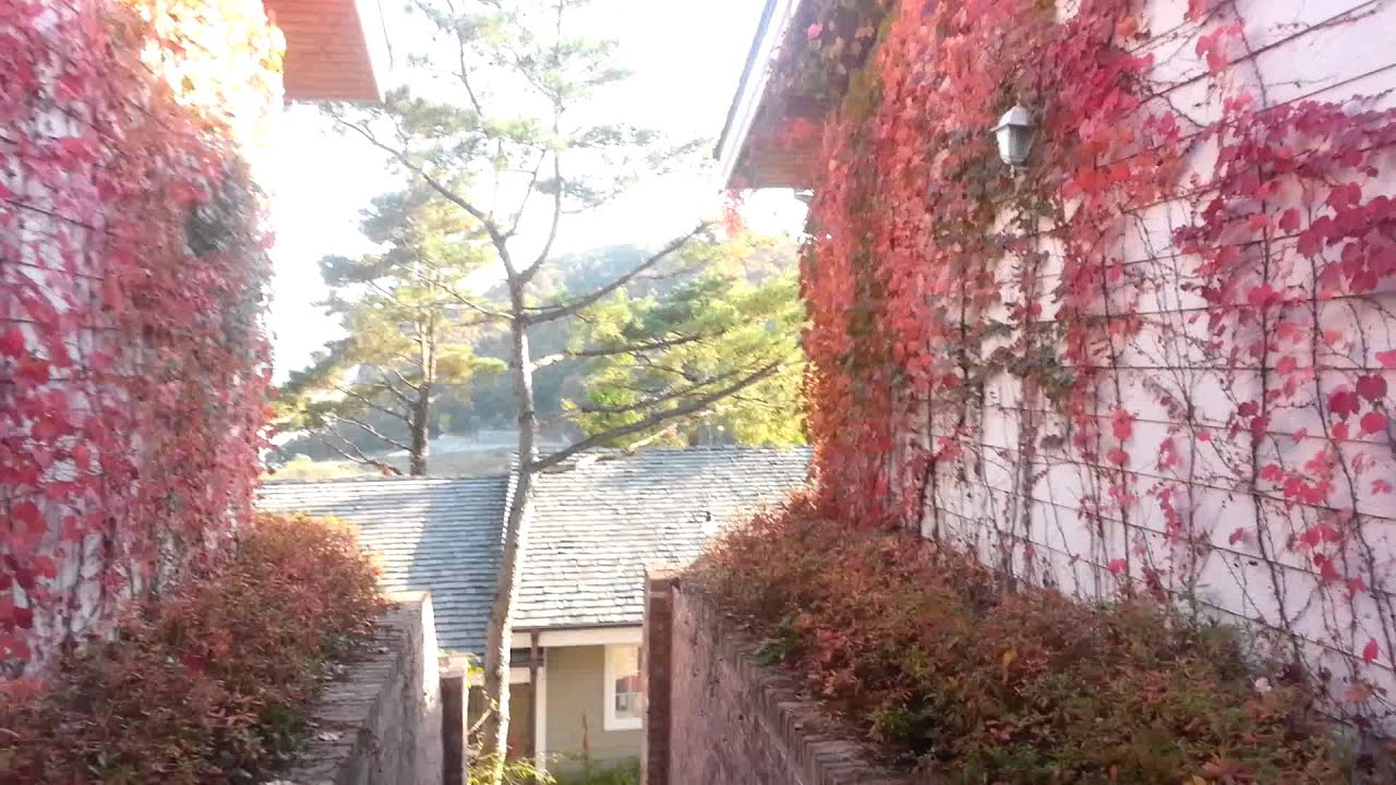 포천 허브빌리지 - YouTube