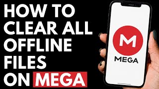 How To Clear All Offline Files on Mega screenshot 3