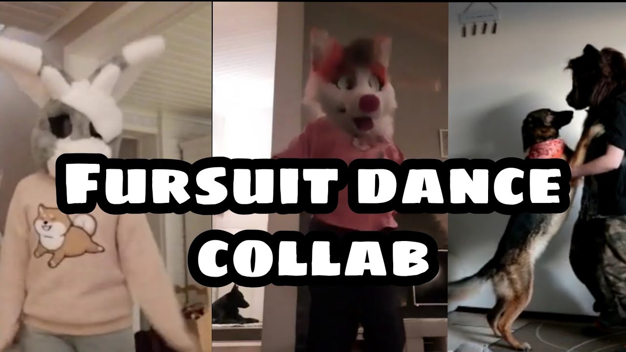 FURSUIT DANCE COLLAB|Stamp on the ground