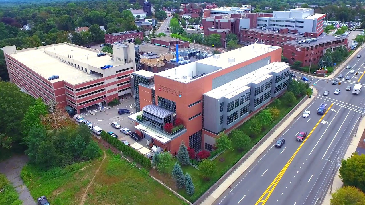 South Park Testicular Cancer