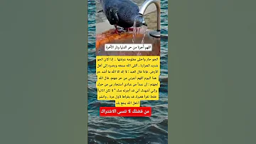 الجو حار واحلى معلومه عرفتها إذا كان الجو شديد الحرارة العلم اكسبلور Viral تيك توك ماوراءيات 