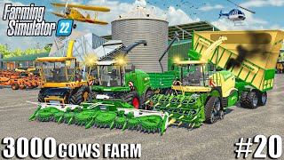 Harvesting 2.5 MILLION LITERS of CORN SILAGE 🌽 | 3000 COWS Farm #20 | Farming Simulator 22