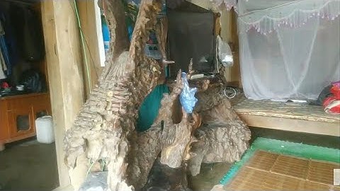 Về Bảo Ái Yên Bình Yên Bái