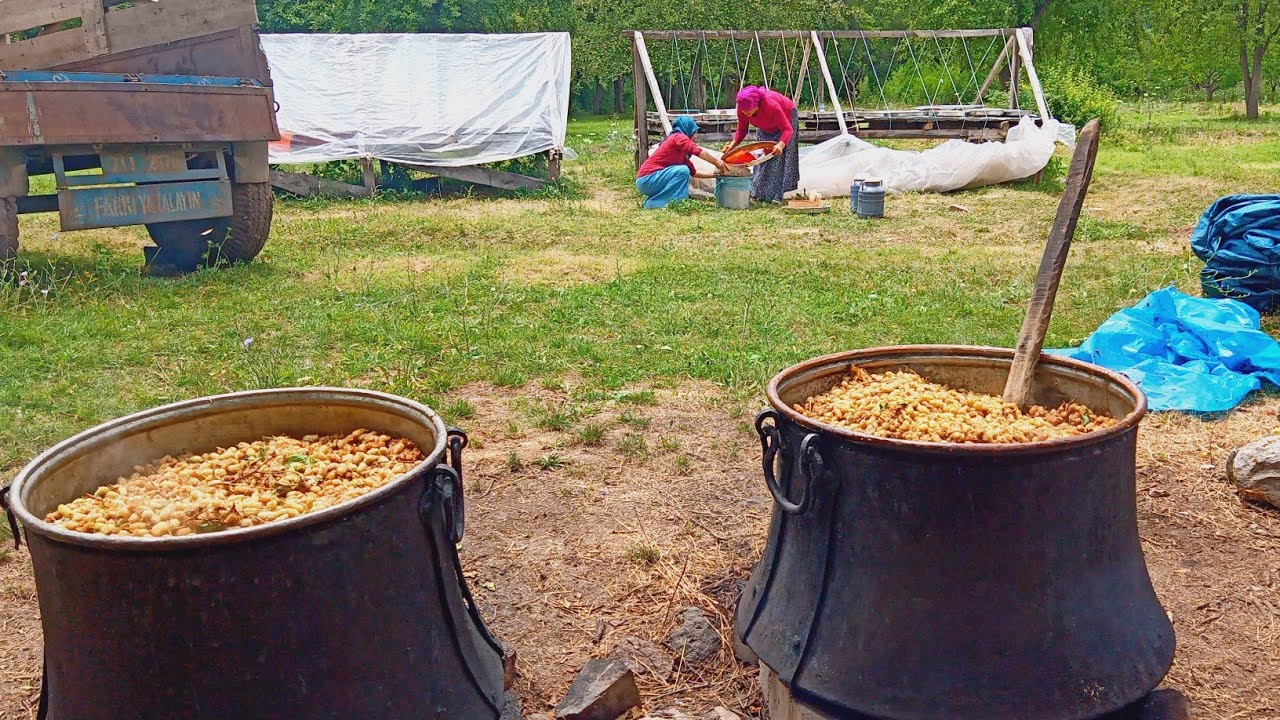 Dut pekmezi - tarifi 📢Baştan Sona❗Bütün Ayrıntılar Şebinkarahisar Pekmez nasıl yapılır Tatlı Tarifi