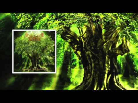 Voloh – Gromovi nad Trebišćem – CD (Album), 2015 [r8400410] | Discogs