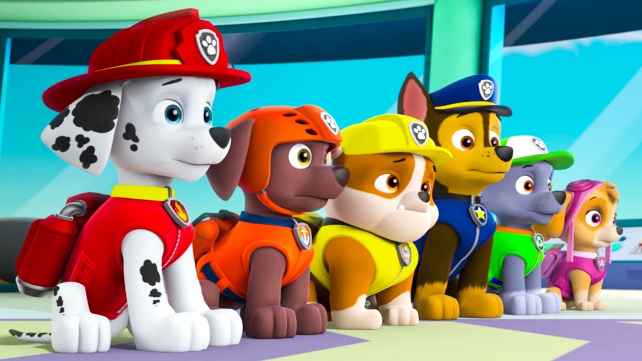 learning with paw patrol