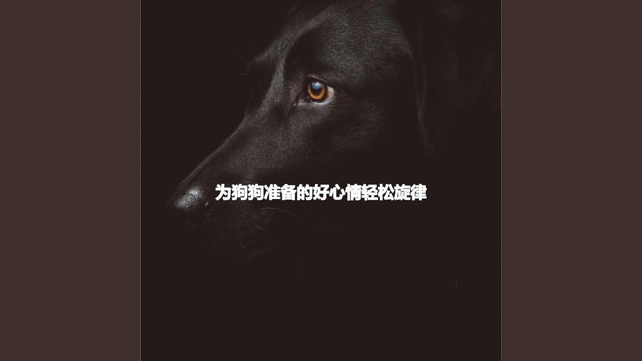 Excellent Visual Adventures