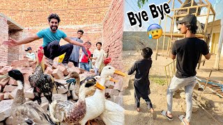 Old Zoo Bye Bye  New Zoo My Pets Le Aiy