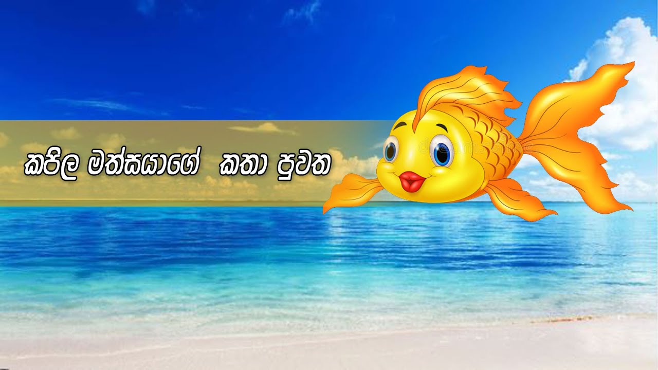 නිවැරදි ධර්මය අසමු