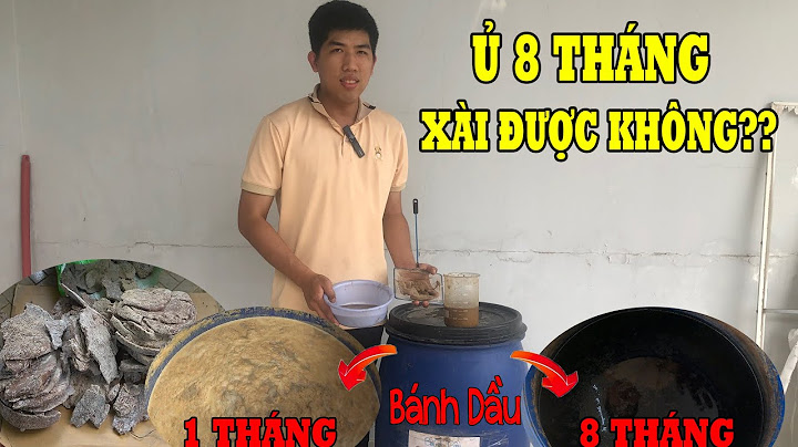 So sánh phân đạm cá và phân bánh dầu năm 2024