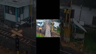 HUNTING RANDOM PART 20