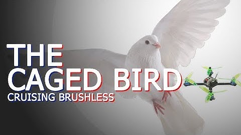 [[ FREESTYLE FPV ]] LDARC KingKong 200GT [THE cAged bIrd